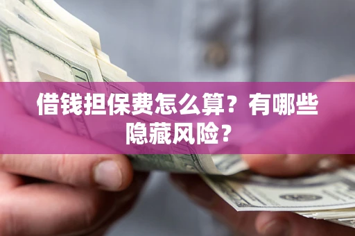 武汉借钱担保费怎么算？有哪些隐藏风险？