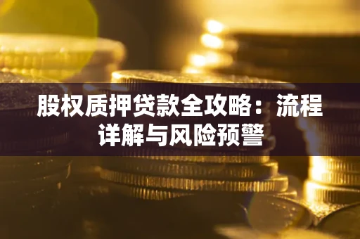 武汉股权质押贷款全攻略：流程详解与风险预警