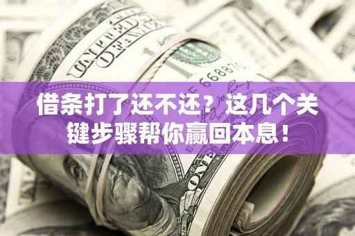 武汉借条打了还不还？这几个关键步骤帮你赢回本息！