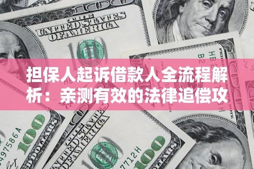 武汉担保人起诉借款人全流程解析：亲测有效的法律追偿攻略