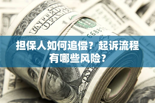 武汉担保人如何追偿？起诉流程有哪些风险？