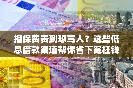 武汉担保费贵到想骂人？这些低息借款渠道帮你省下冤枉钱