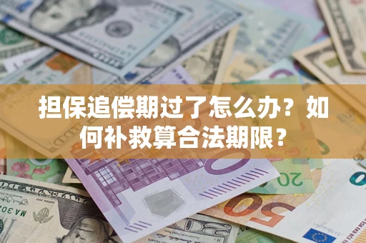 武汉担保追偿期过了怎么办？如何补救算合法期限？