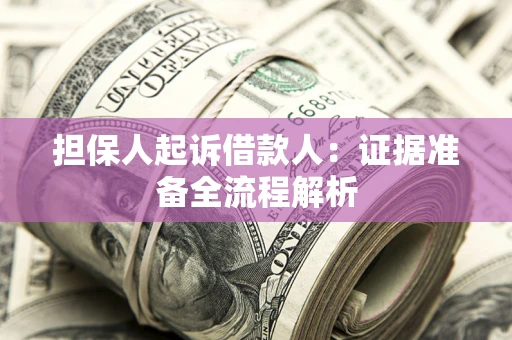武汉担保人起诉借款人：证据准备全流程解析