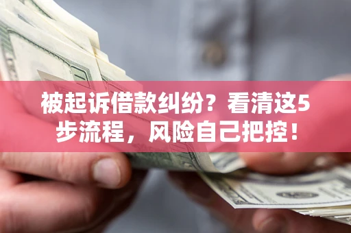 武汉被起诉借款纠纷？看清这5步流程，风险自己把控！